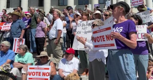Hundreds rally against proposed constitutional amendment on citizen ballot initiatives